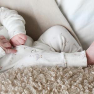 baby boxpakje rib eenden.jpg