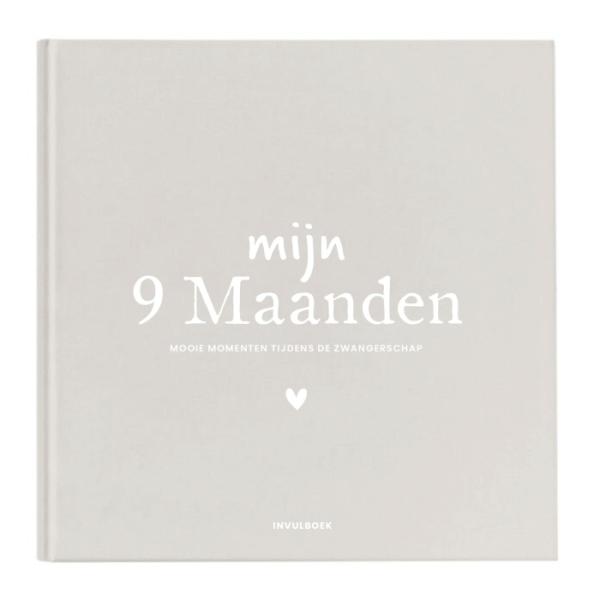 invulboek 9 maanden zwanger 1.jpg