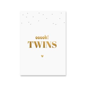 kaart twins.jpg