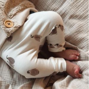 penguin baby.jpeg