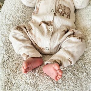 rib jungle boxpakje babyvibe 3.jpg