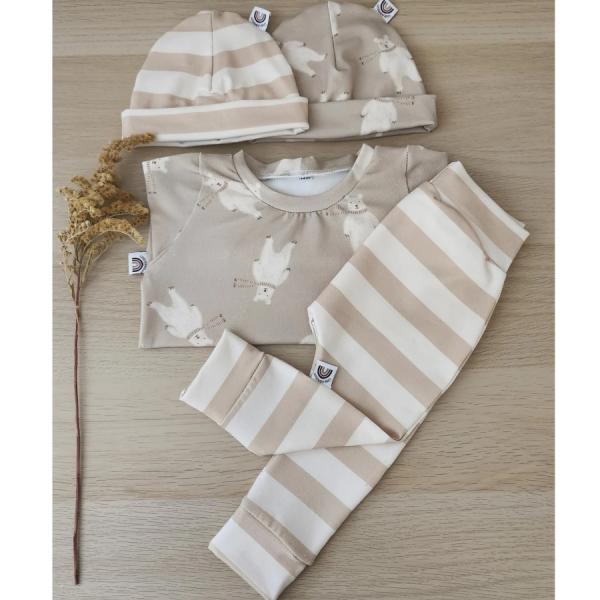 set ijsberen pistache.jpg