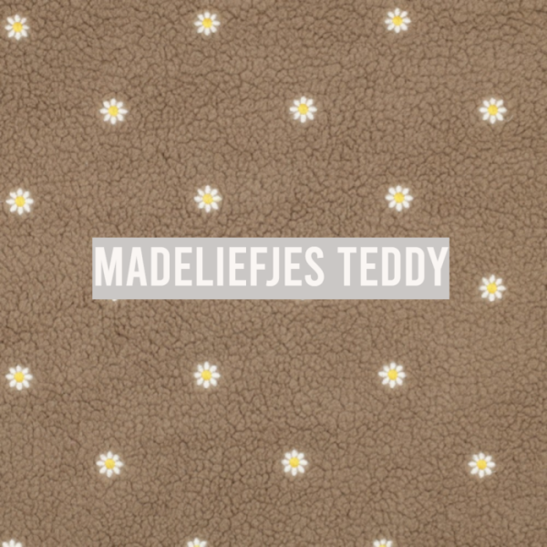teddy madeliefjes.png