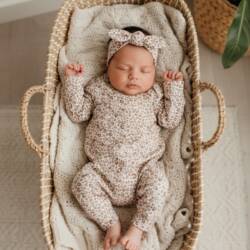 boxpakje cheetah boxpakje cheetah