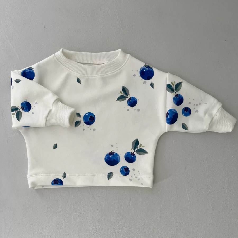 sweatshirt blueberry 2