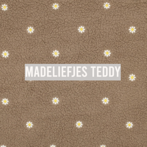 teddy madeliefjes