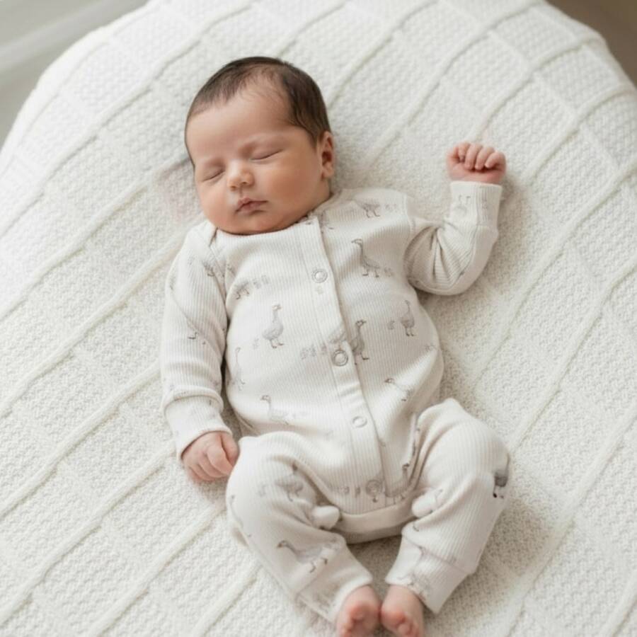 rib ganzen boxpakje jongen (1) rib ganzen boxpakje jongen (1)