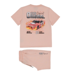 icon zomerset jongen zalm