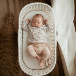 pyjama dino 1 pyjama dino