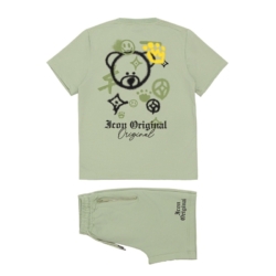 zomerset icon groen beer